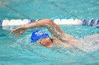 Swimming & Diving vs Babson  Swimming & Diving vs Babson College. - Photo by Keith Nordstrom : Wheaton, Swimming